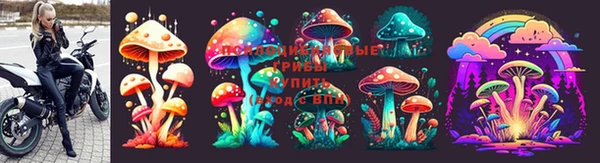 СК Белоозёрский