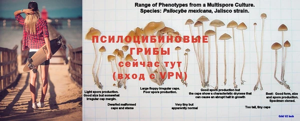 кокаин Белокуриха